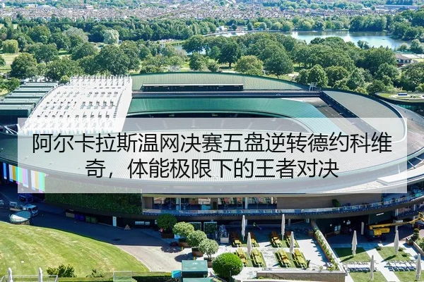 a-er-ka-la-si-wen-wang-jue-sai-wu-pan-ni-zhuan-de-yue-ke-wei-qi-ti-neng-ji-xian-xia-de-wang-zhe-dui-jue-3-843.jpg