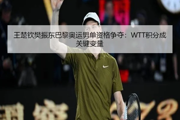 王楚钦樊振东巴黎奥运男单资格争夺：WTT积分成关键变量