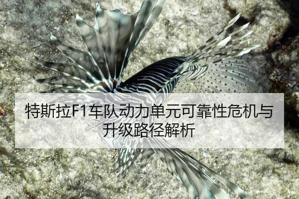 te-si-la-che-dui-dong-li-dan-yuan-ke-kao-xing-wei-ji-yu-sheng-ji-lu-jing-jie-xi-3-103.jpg