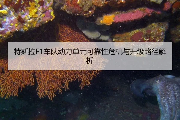 特斯拉F1车队动力单元可靠性危机与升级路径解析